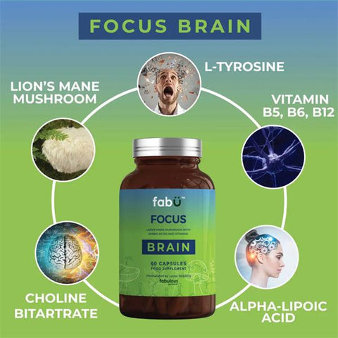 Fabu Focus Brain 60 Capsules
